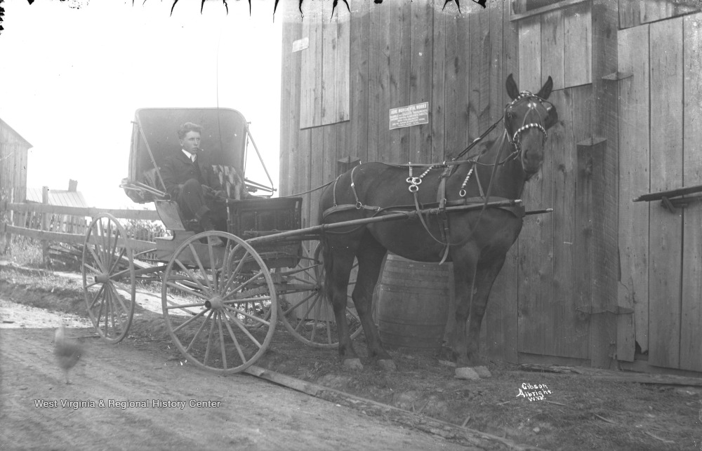 Young Man Sits in Horse and Buggy Next to Home Monumental Works Barn, Terra Alta, W. Va. West