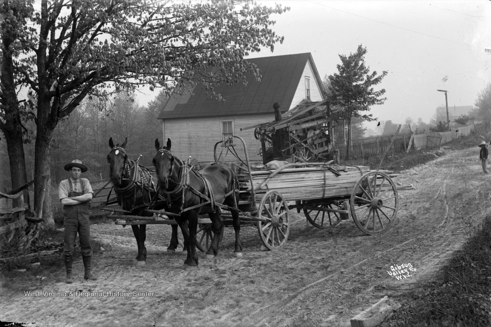 Man Stands in Front of Horse Drawn Wagon Carrying Lumber West