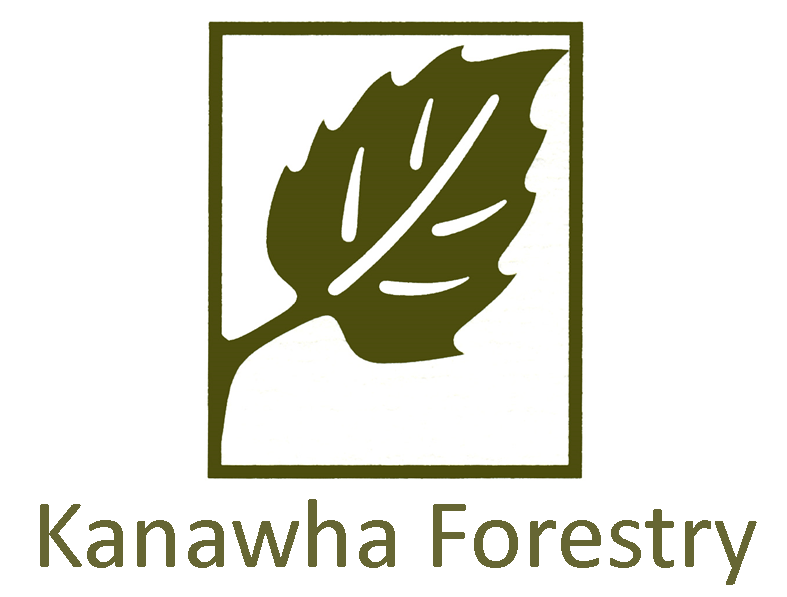 Home WVLandGroup Your West Virginia Land Company