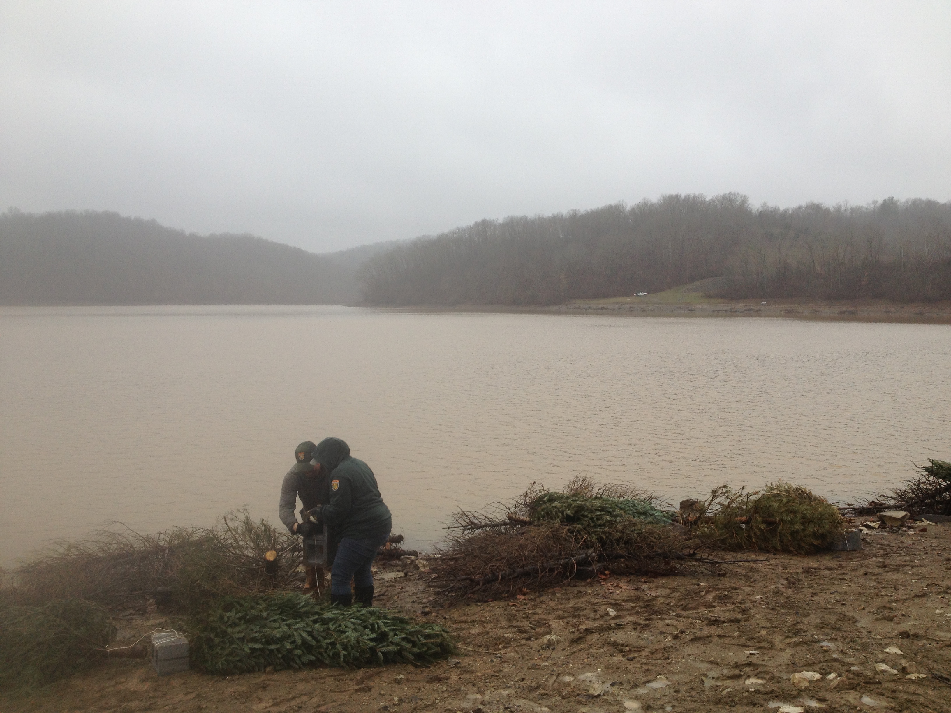 Christmas trees continue to spread joy well after the holidays in W.Va