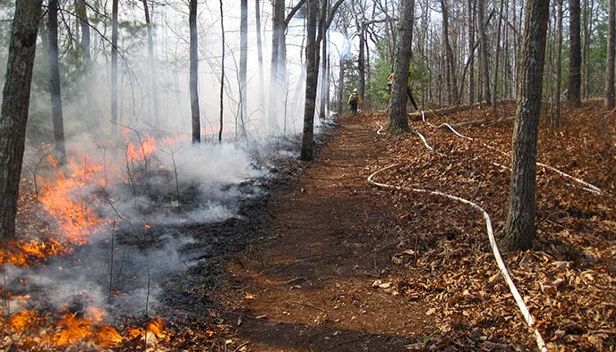 U.S. Forest Service prepares for controlled burns in W.Va. forest lands