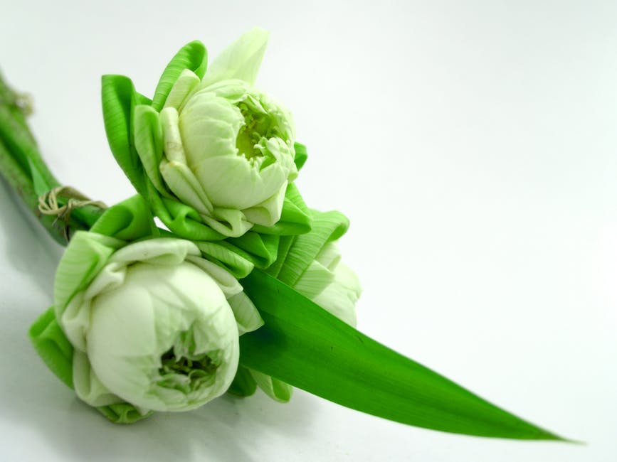 3 Reasons To Order Flowers In Kalgoorlie Helpful & Informative Blogs