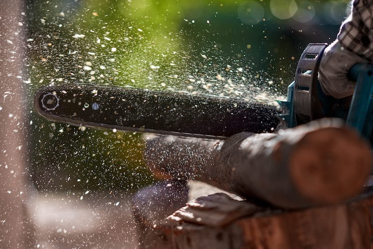 Four West Virginians in the running (and sawing) for national lumberjack championship West