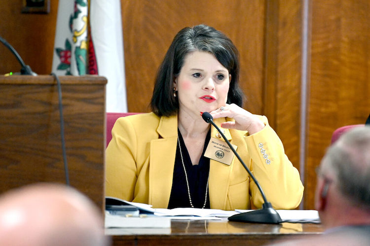 West Virginia House Health Committee works on DHHR split bill West