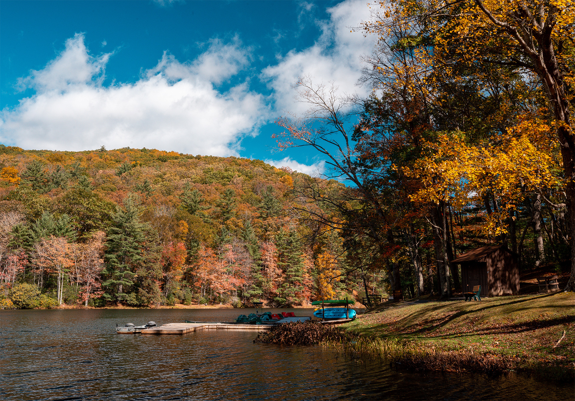 5 WV State Parks to Visit This Fall if You Want to Catch a Trout West