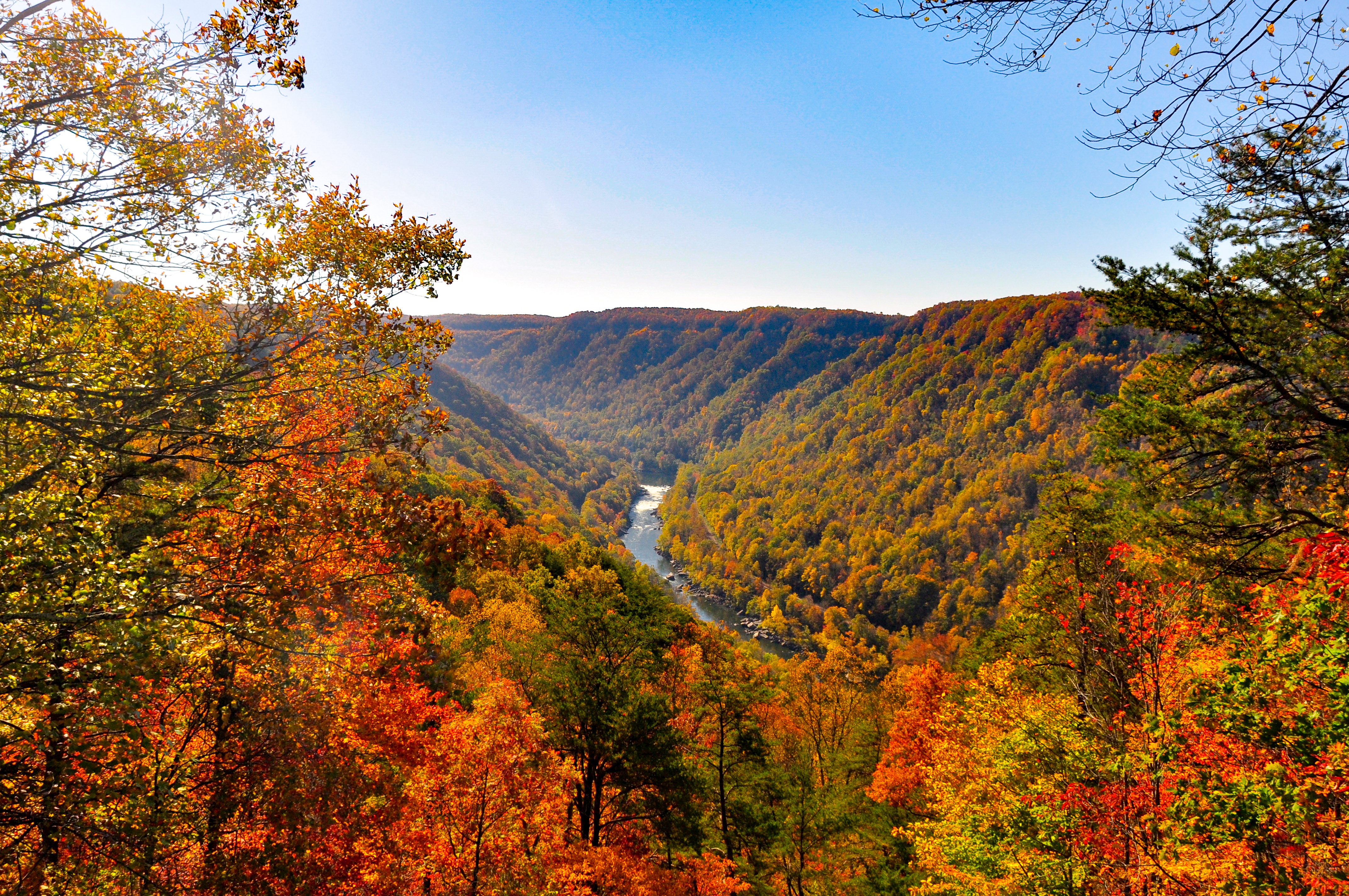 Wv Fall Foliage 2023 Wild, Wonderful West Virginia To Launch #Mywv Fall Color - Almost Heaven - West Virginia : Almost Heaven – West Virginia