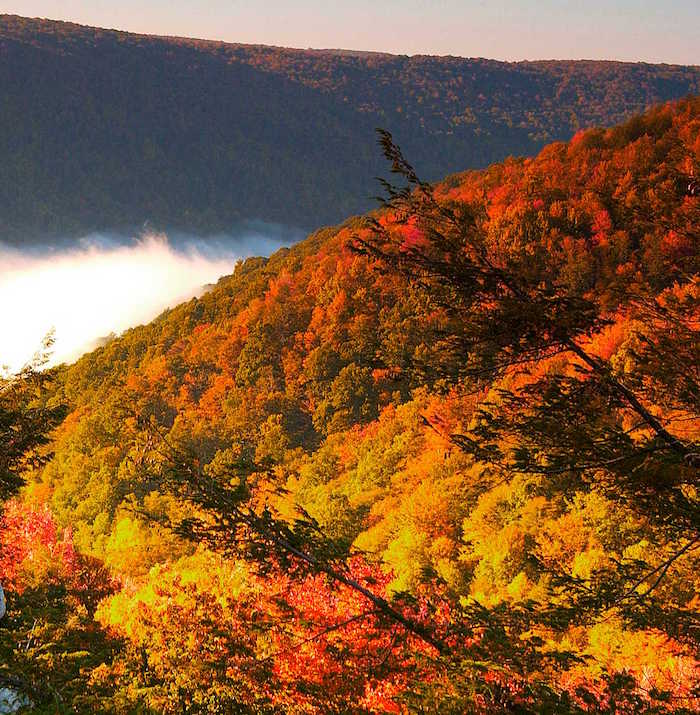 West Virginia Peak Fall Foliage 2023