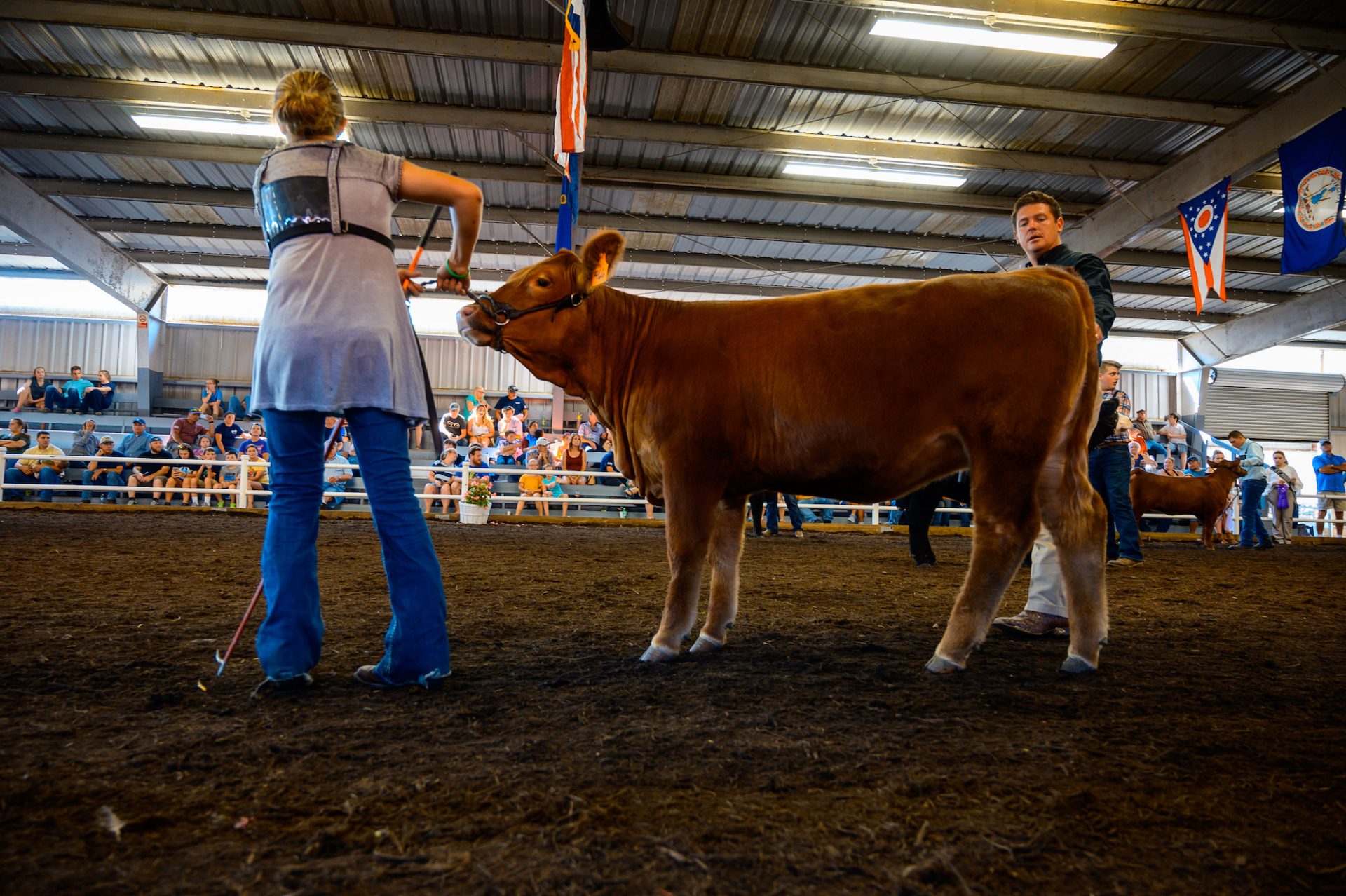 Your Guide to the 2022 State Fair of West Virginia Almost Heaven