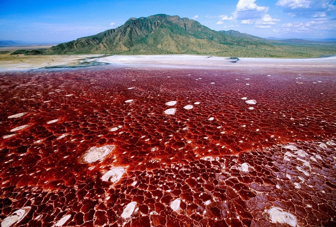 TriviAttack Lake Natron Tanzania's Alkaline Wonder and Flamingo Haven