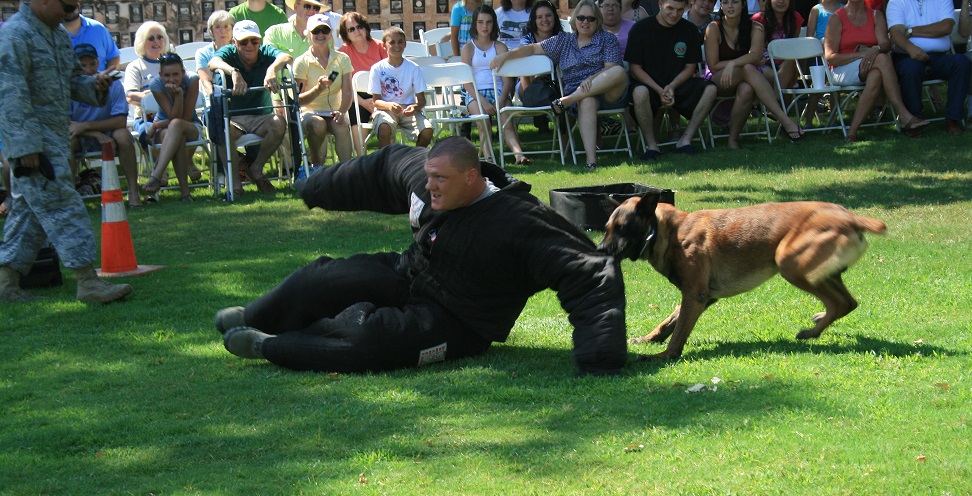 National Museum of the Pacific War to Bring War Dog Program from Lackland AFB