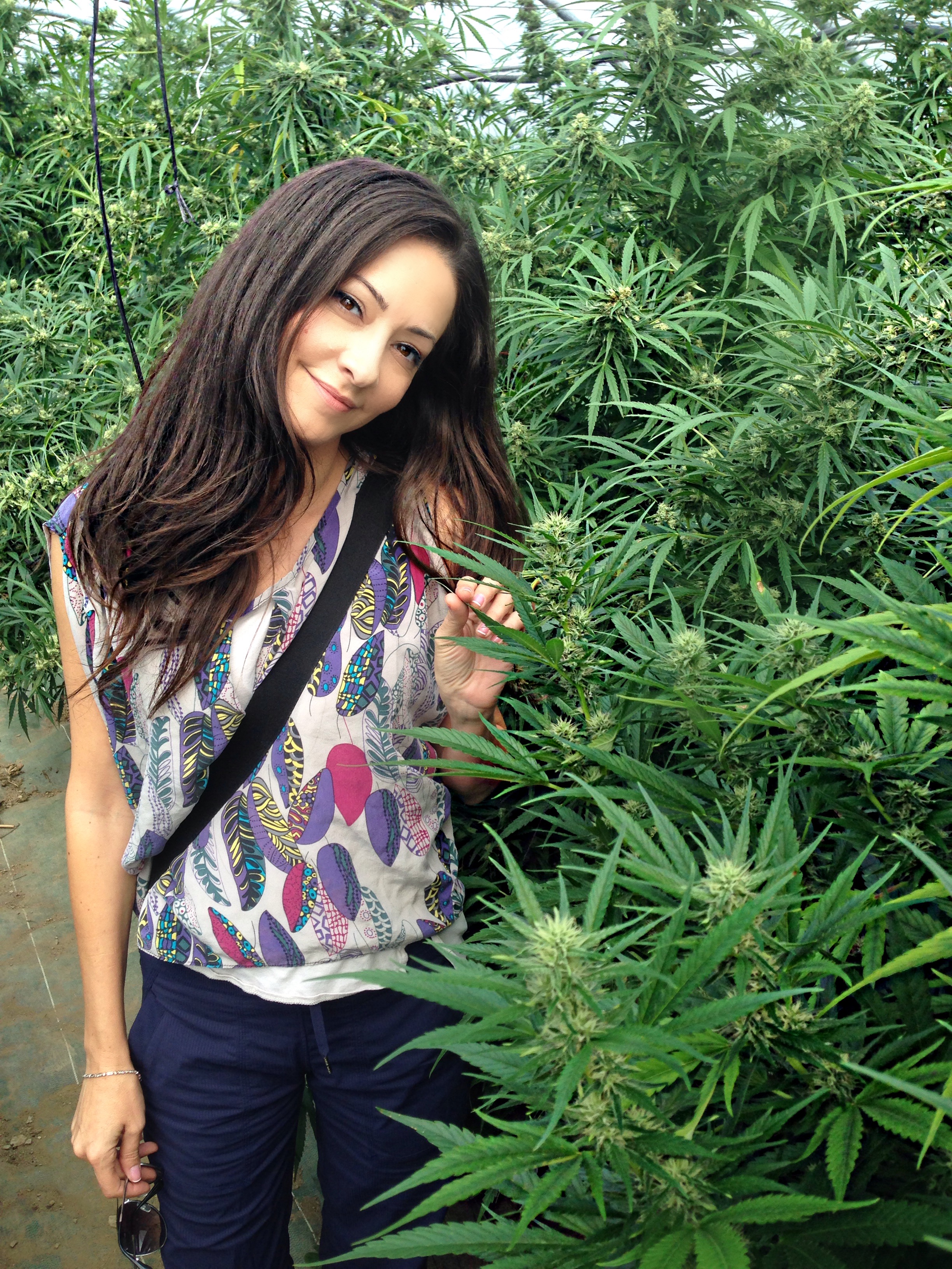 Vice Media Releases Documentary About Dr. Dina, The Real Nancy Botwin