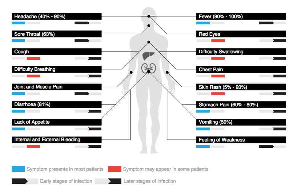 Involution Studios' Ebola Infographic Provides Key Disease Information