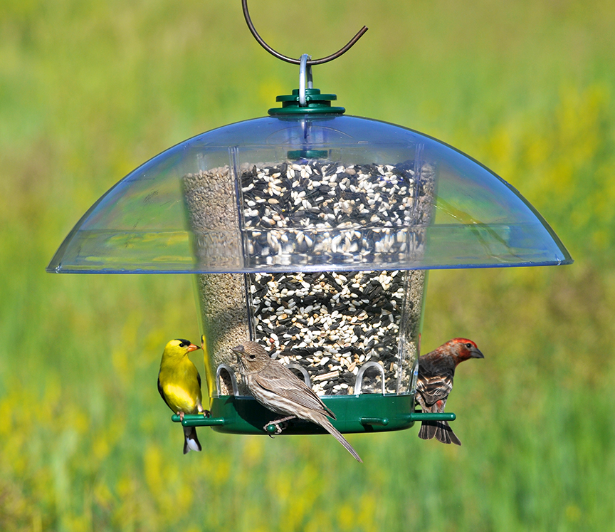 PerkyPet® Introduces the Classic KFeeders® Product Line