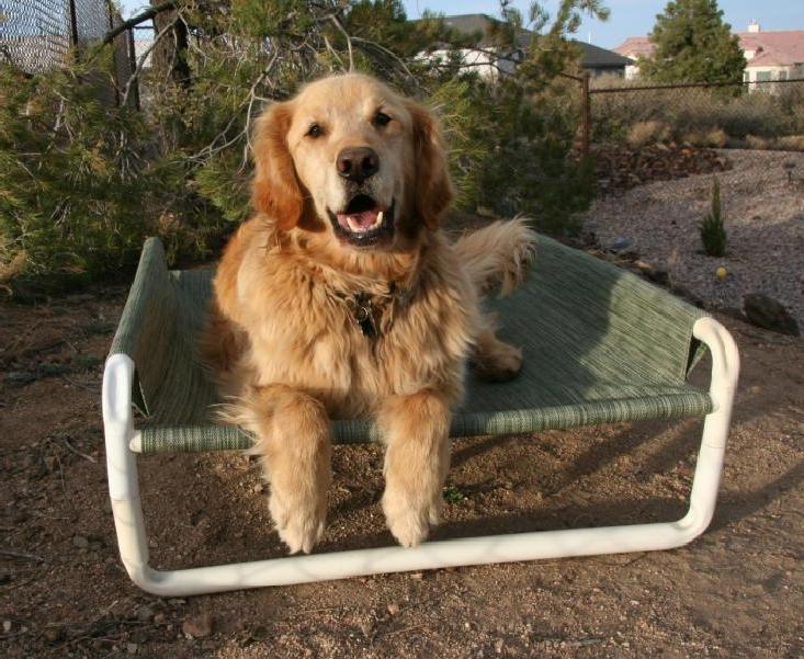 Made in America Elevated Large Dog Bed Now Available from Rover Company