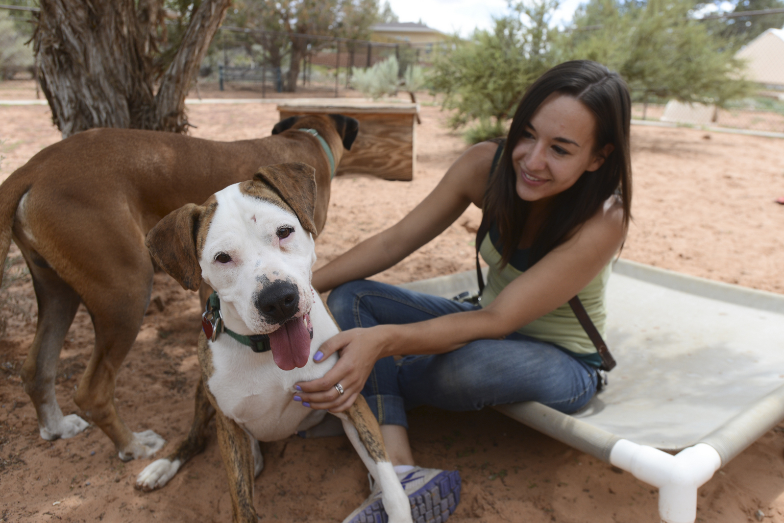Best Friends Animal Society Can Help Pet Lovers Adopt to Realize Those