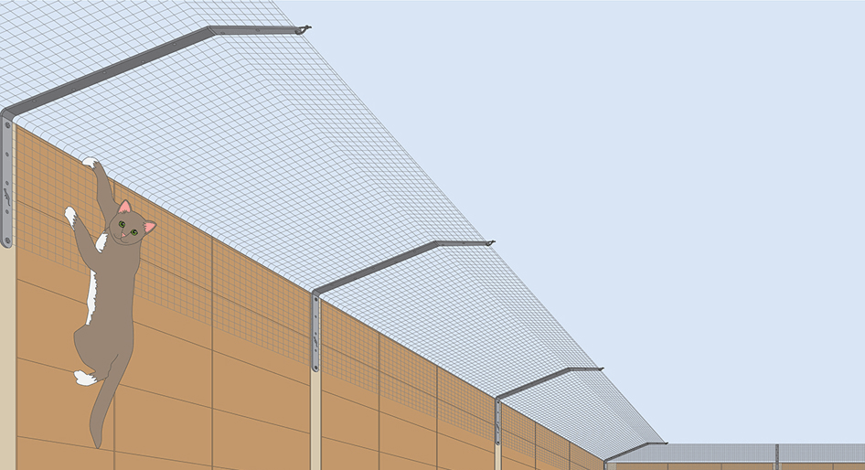 British Company ProtectaPet Propose Innovative Cat Fencing is a Better