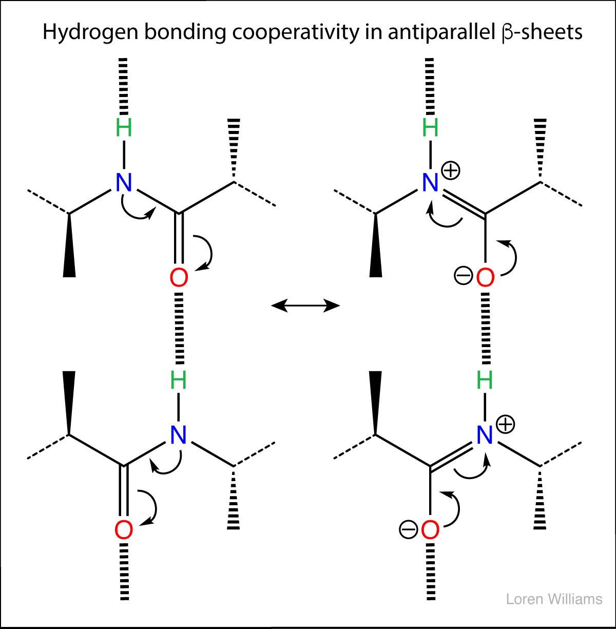 Molecular Interactions (Noncovalent Interactions)