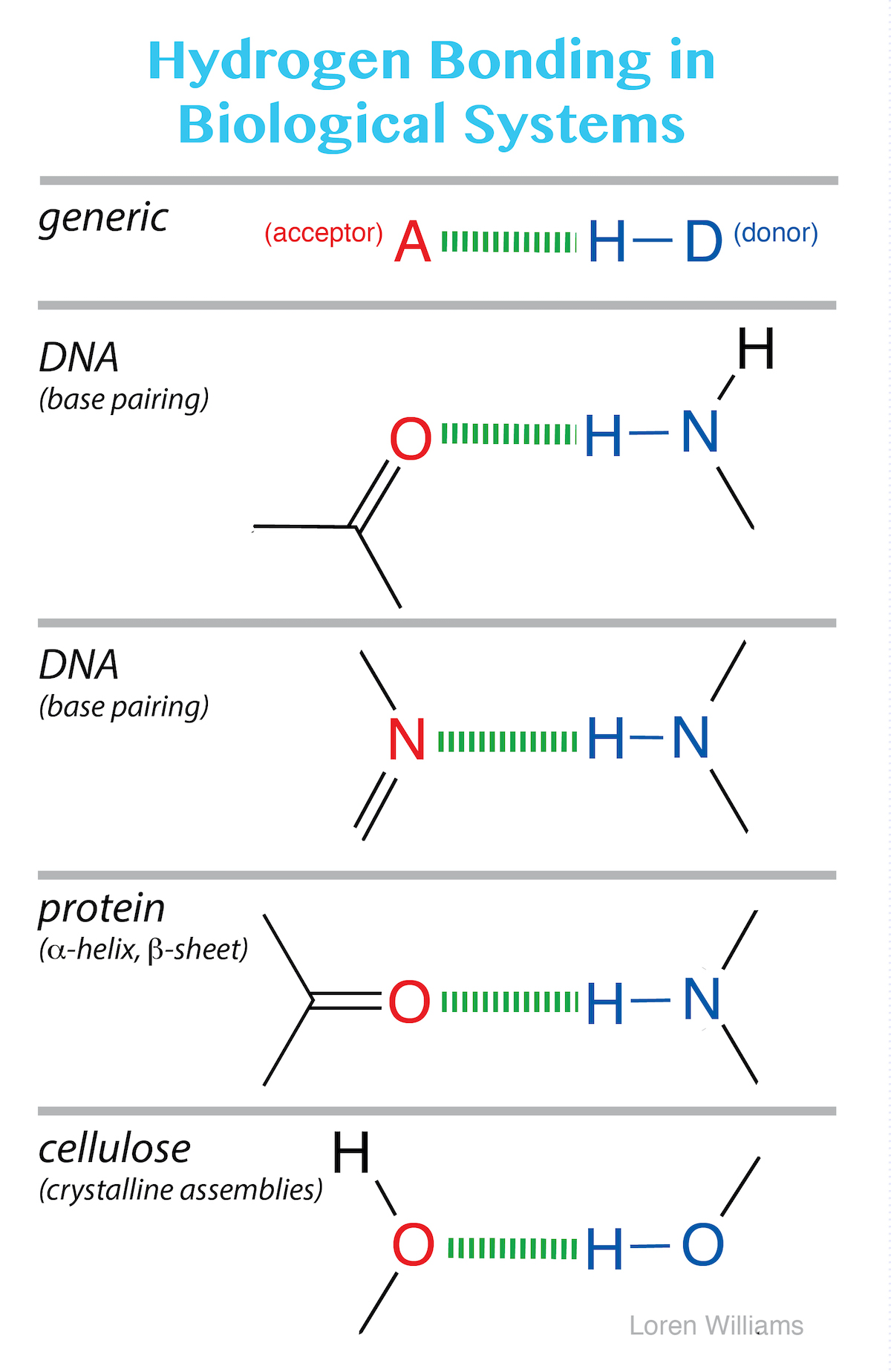 Molecular Interactions (Noncovalent Interactions)