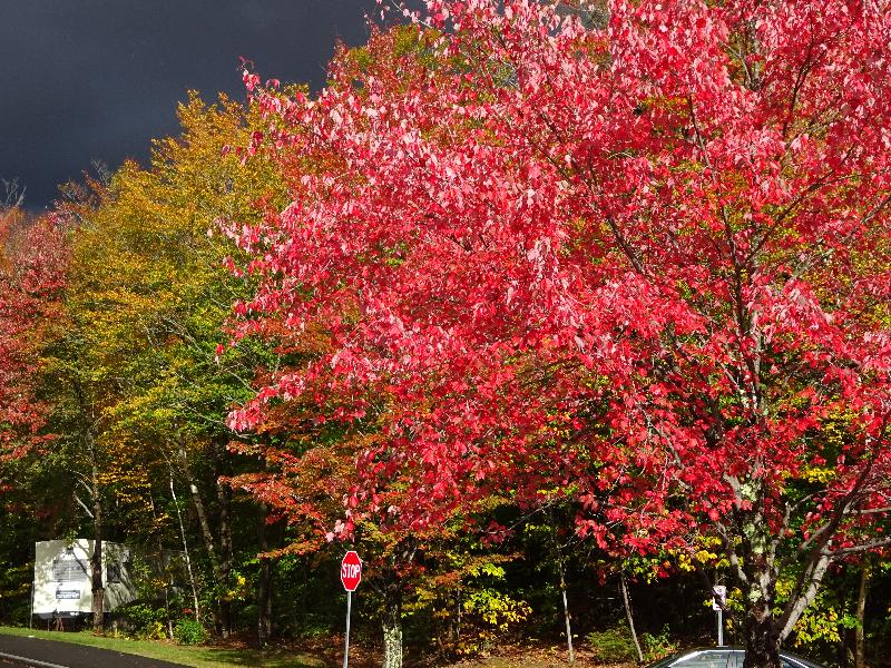 New England Vacation Spots New England Travel Collette