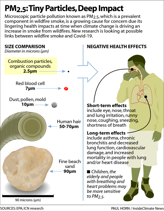 LongTerm Health Effects of Wildfire Smoke Feared, With COVID as Wild