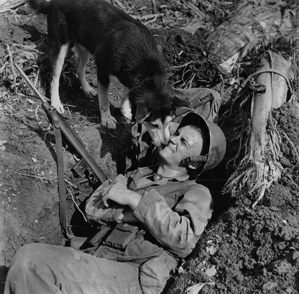 Dogs at World War 2 WW2 Gravestone