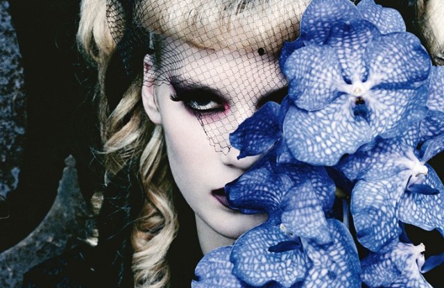 Cold Fusion Fall 2010 Beauty Trends WWD