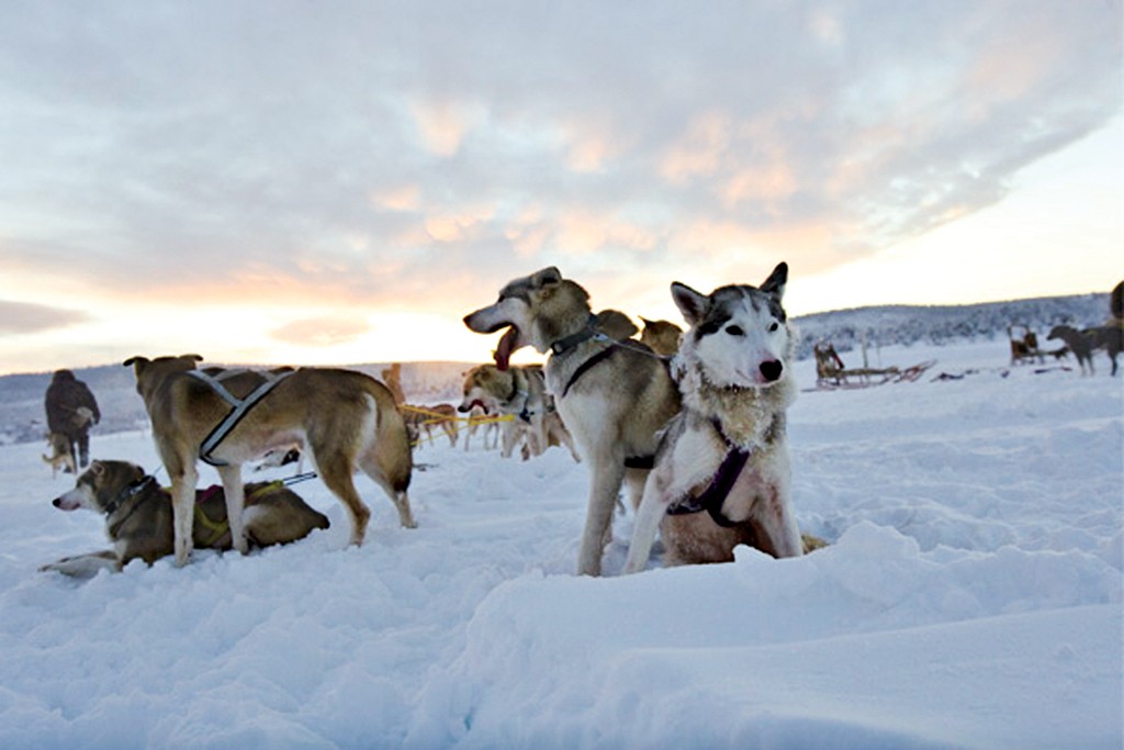 Patrice Béliard Going to Extremes WWD