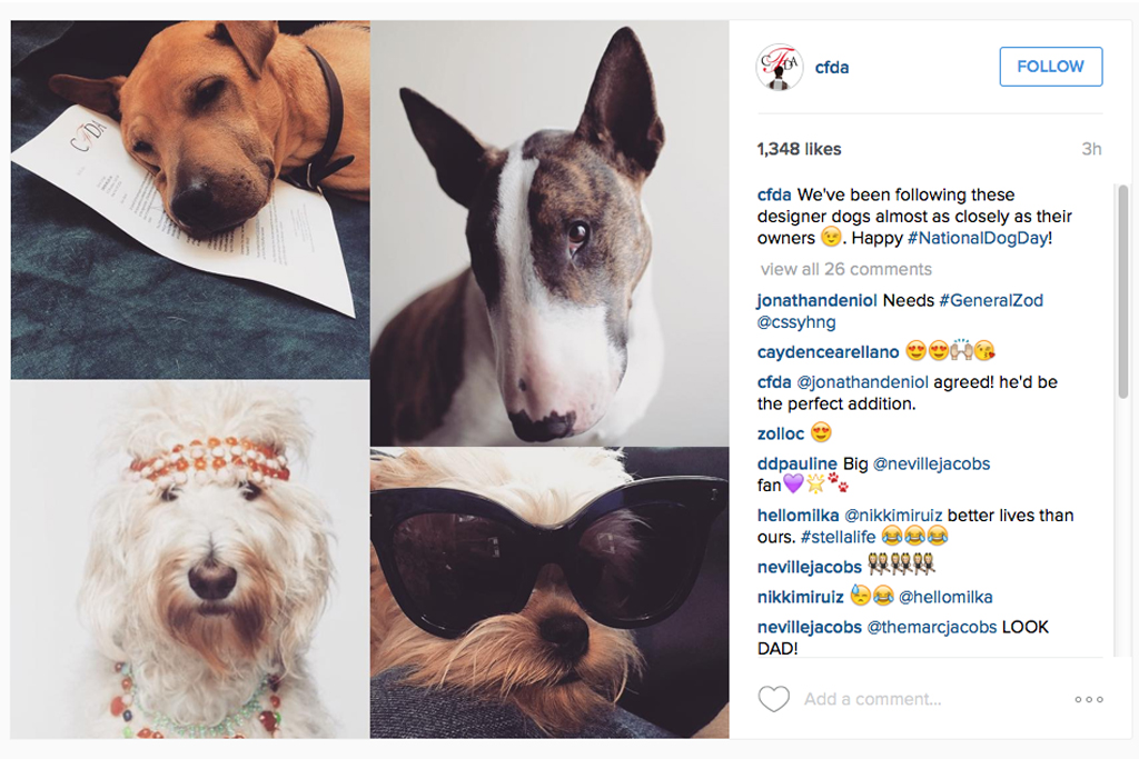 National Dog Day Instagrams