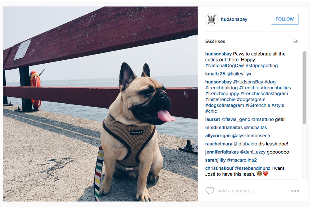 National Dog Day Instagrams