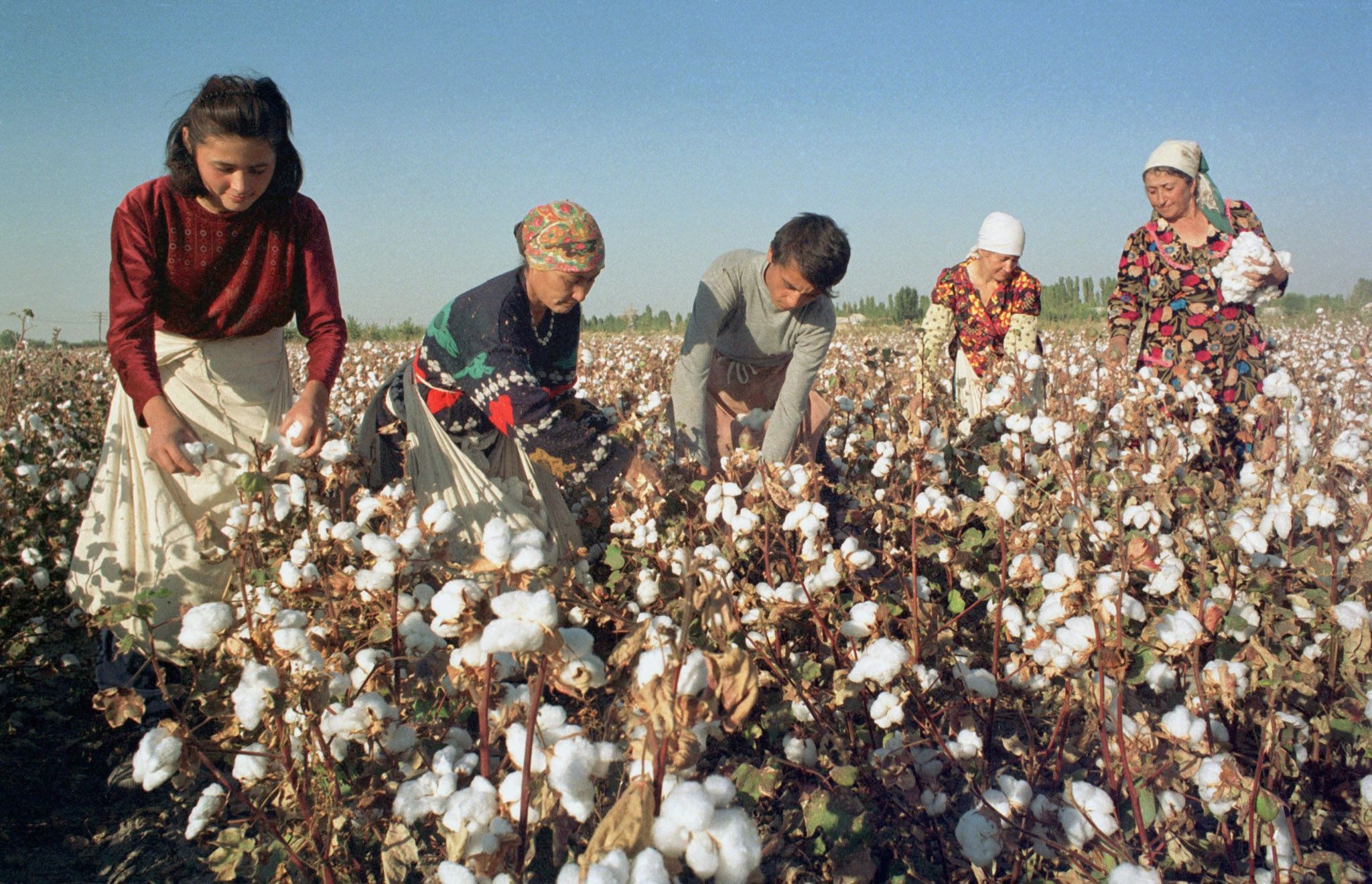 Traceability and the Dynamics of “Conflicted Cotton” WWD