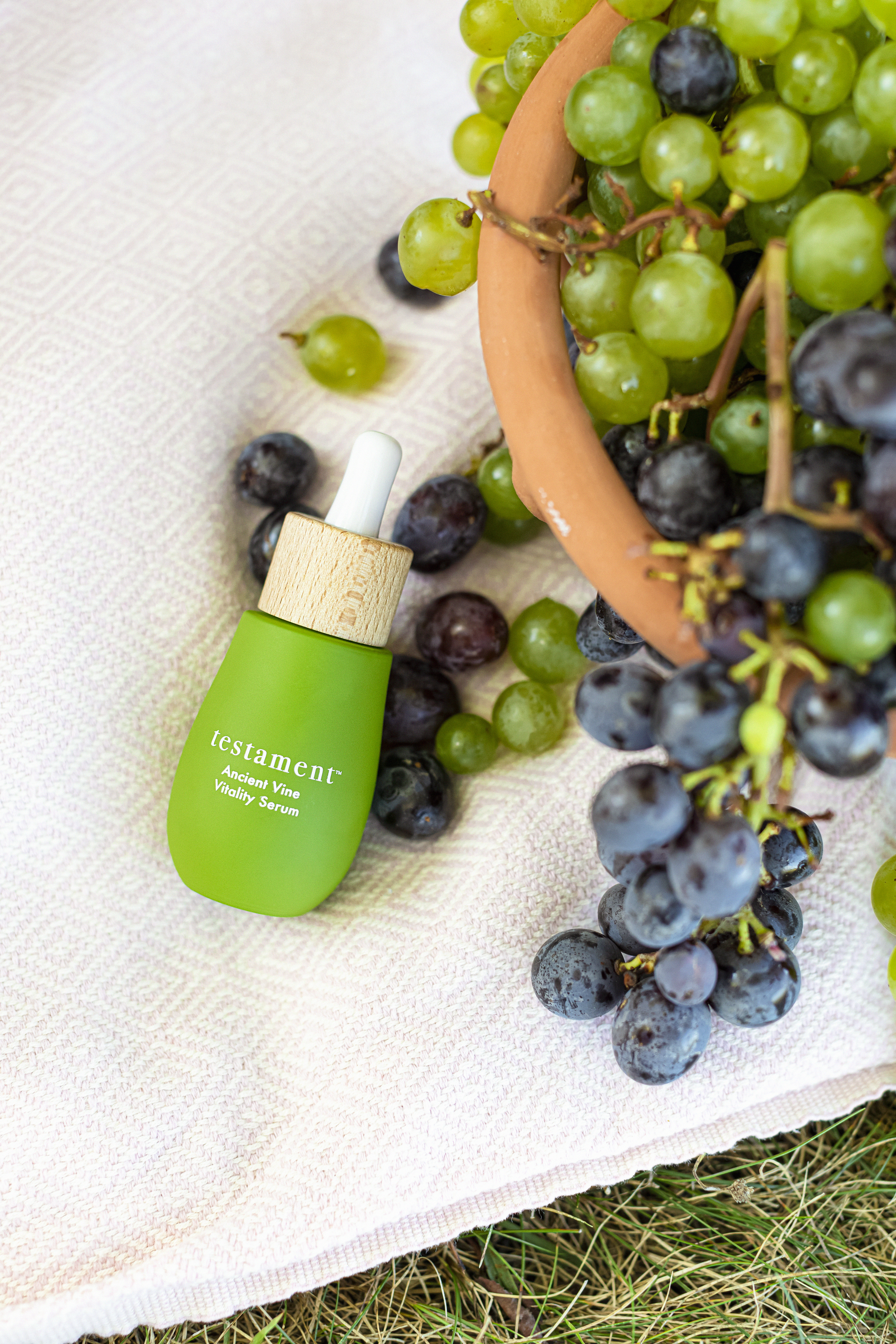 Sophia Chabbott's Big Ambitions for Testament Beauty