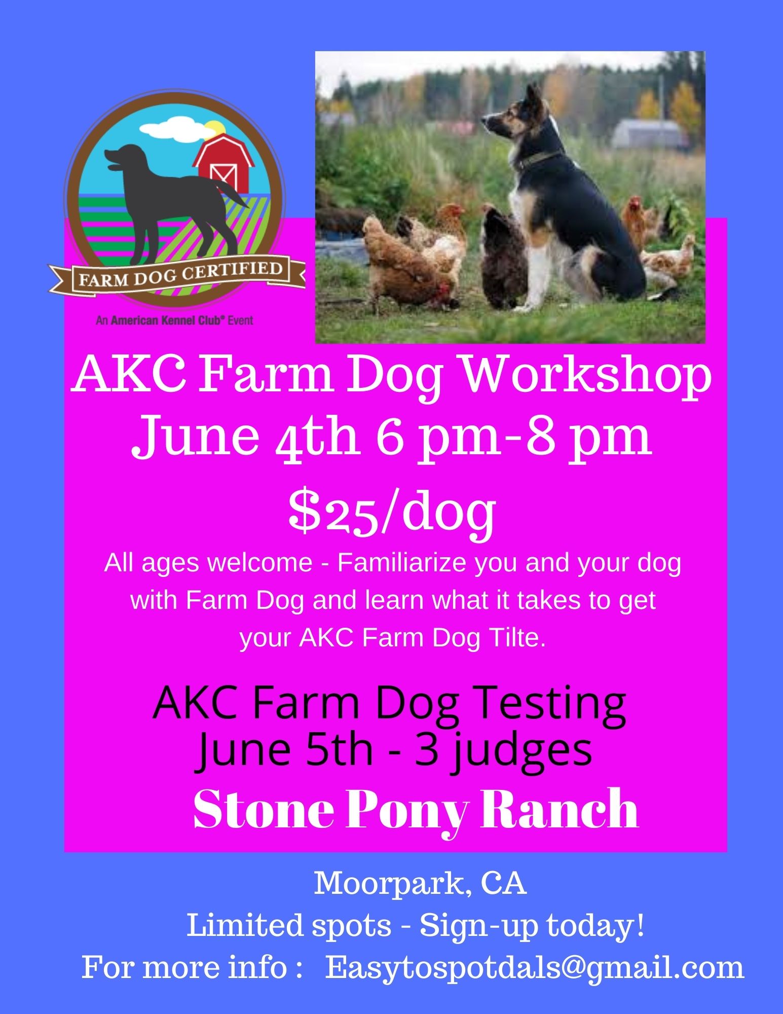 AKC Farm Dog Weekday Wing Ding Agility Trials