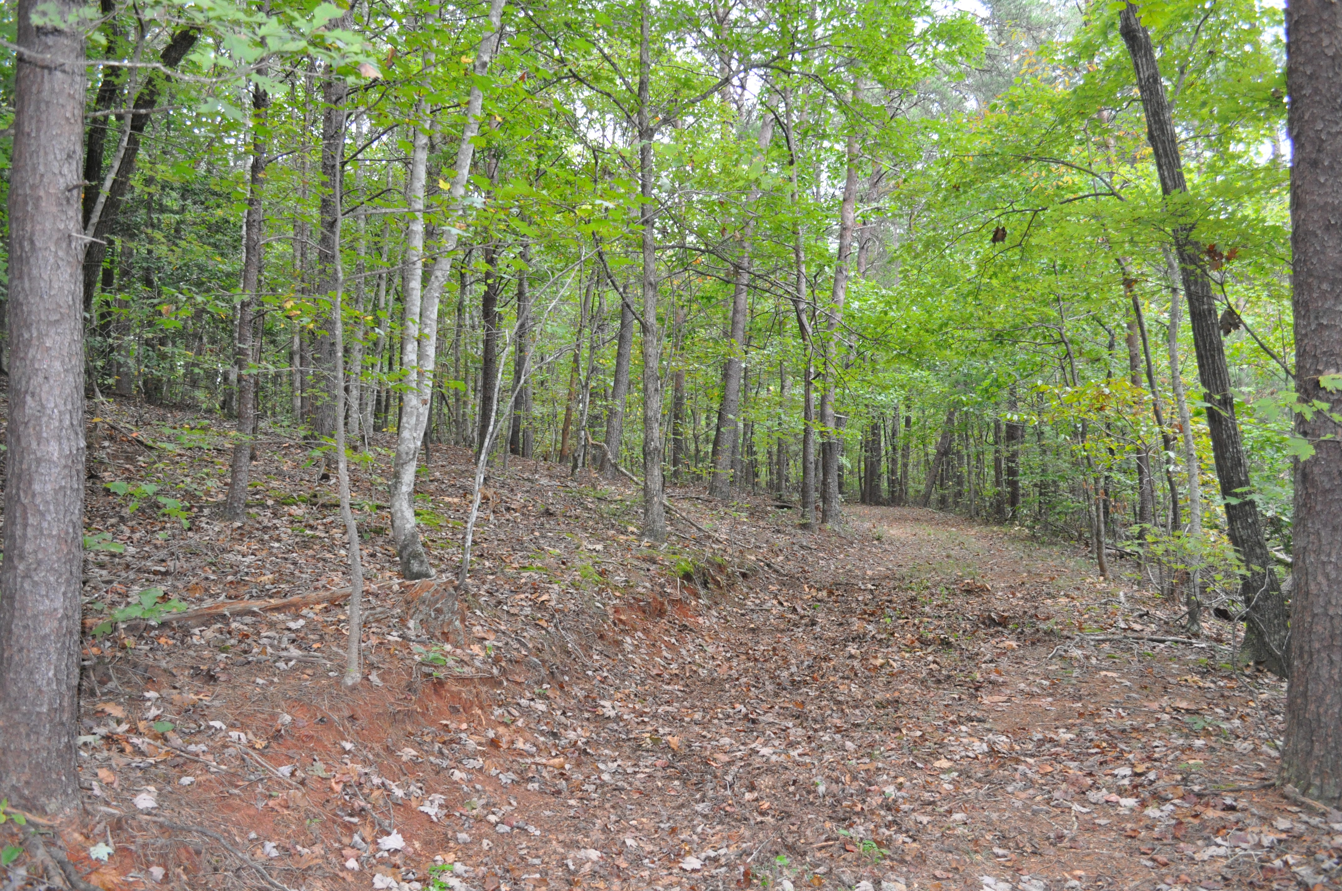 Land for sale In Landrum, South Carolina with Pretty Mountain Views