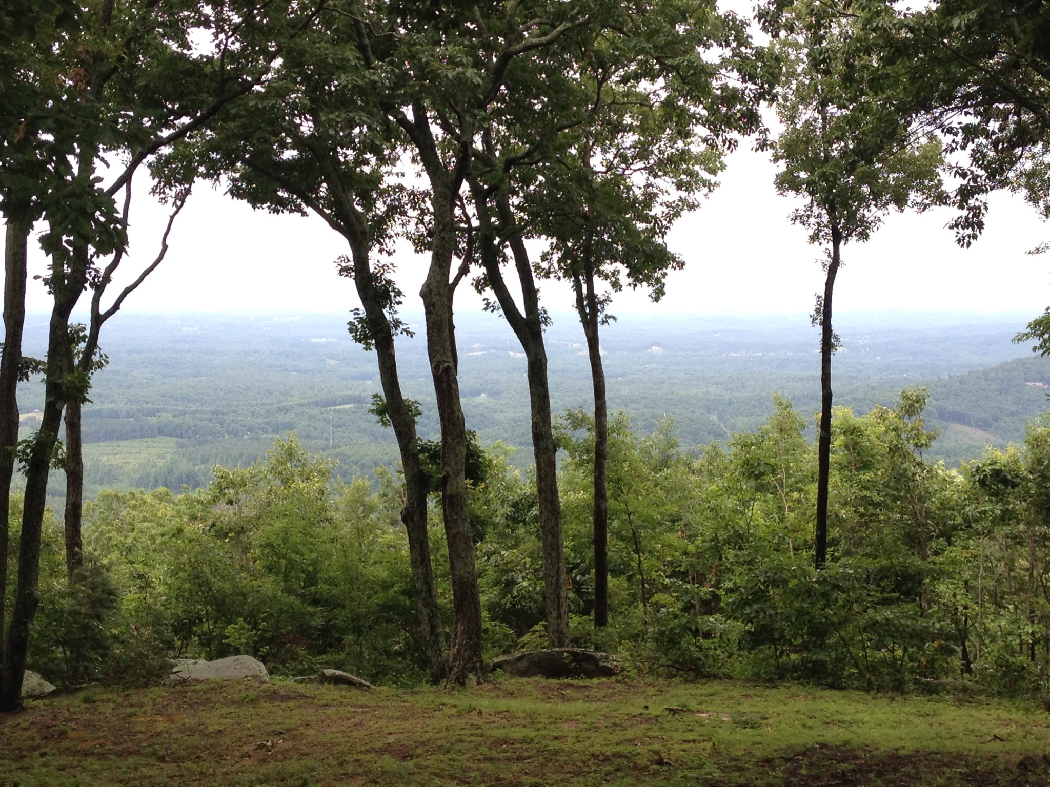 Walker Wallace & Emerson WWE Realty Real Estate Brokers Listing