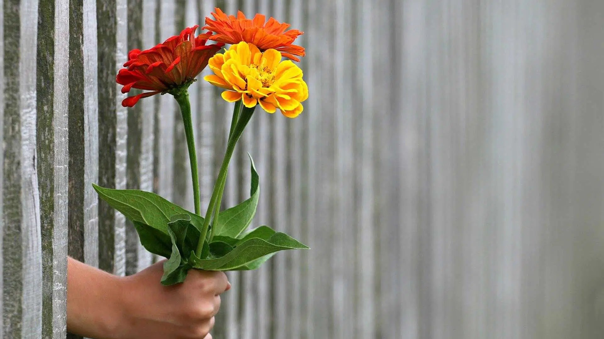 Generosity Changes the World (and You!) • World Wide Group™