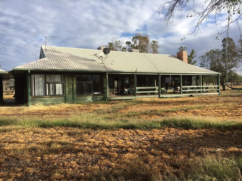 WWOOF in the Queensland Gemfields WWOOF Australia