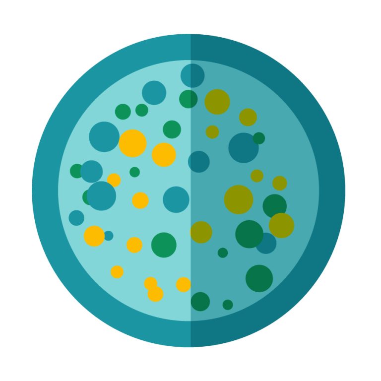 Well Certifications & Water Analysis