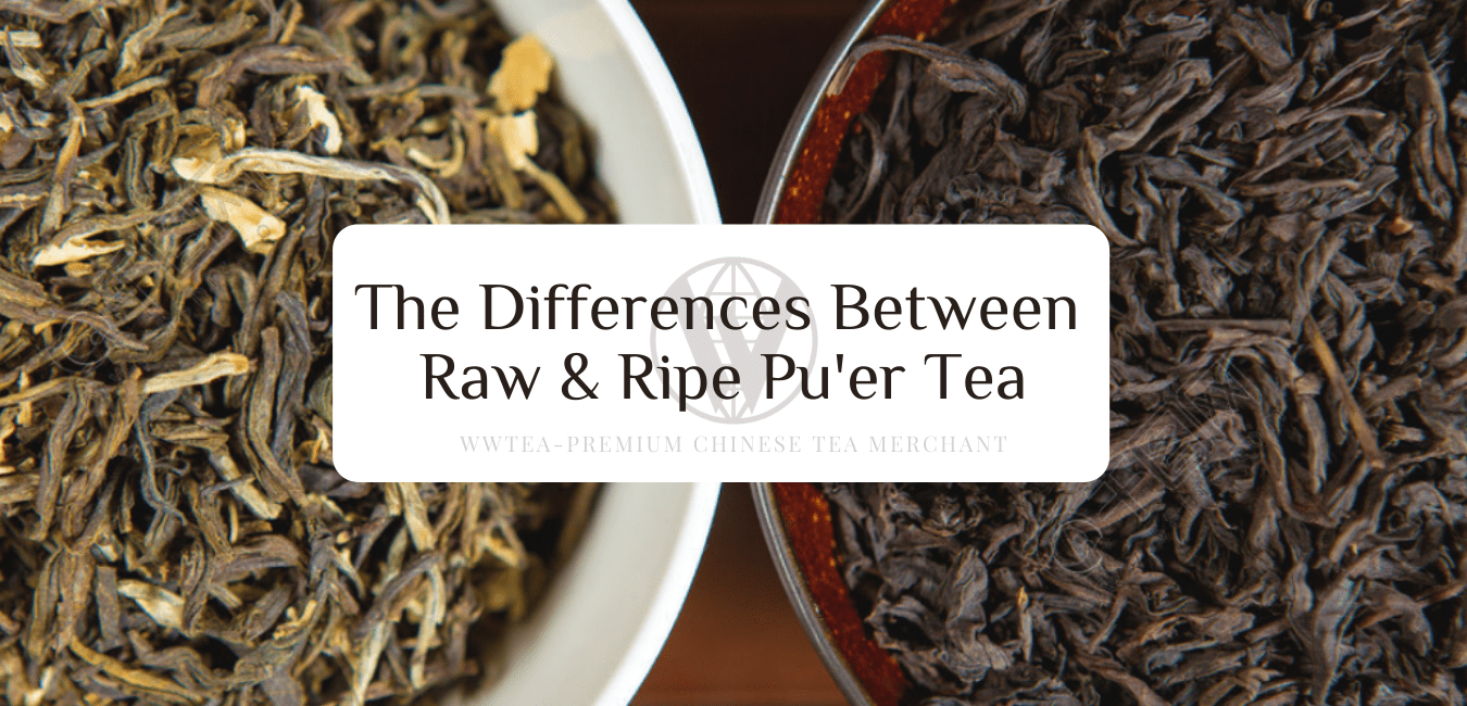 Differences Between Raw & Ripe Pu'er Tea WWTea 环球茶叶