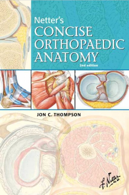 Netter’s Concise Orthopaedic Anatomy 2nd Edition Jon C. Thompson RincónMédico
