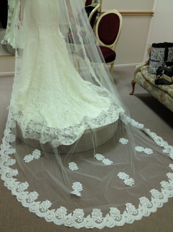 My Cathedral Length Beaded Lace Veil has Arrived! Weddingbee Photo
