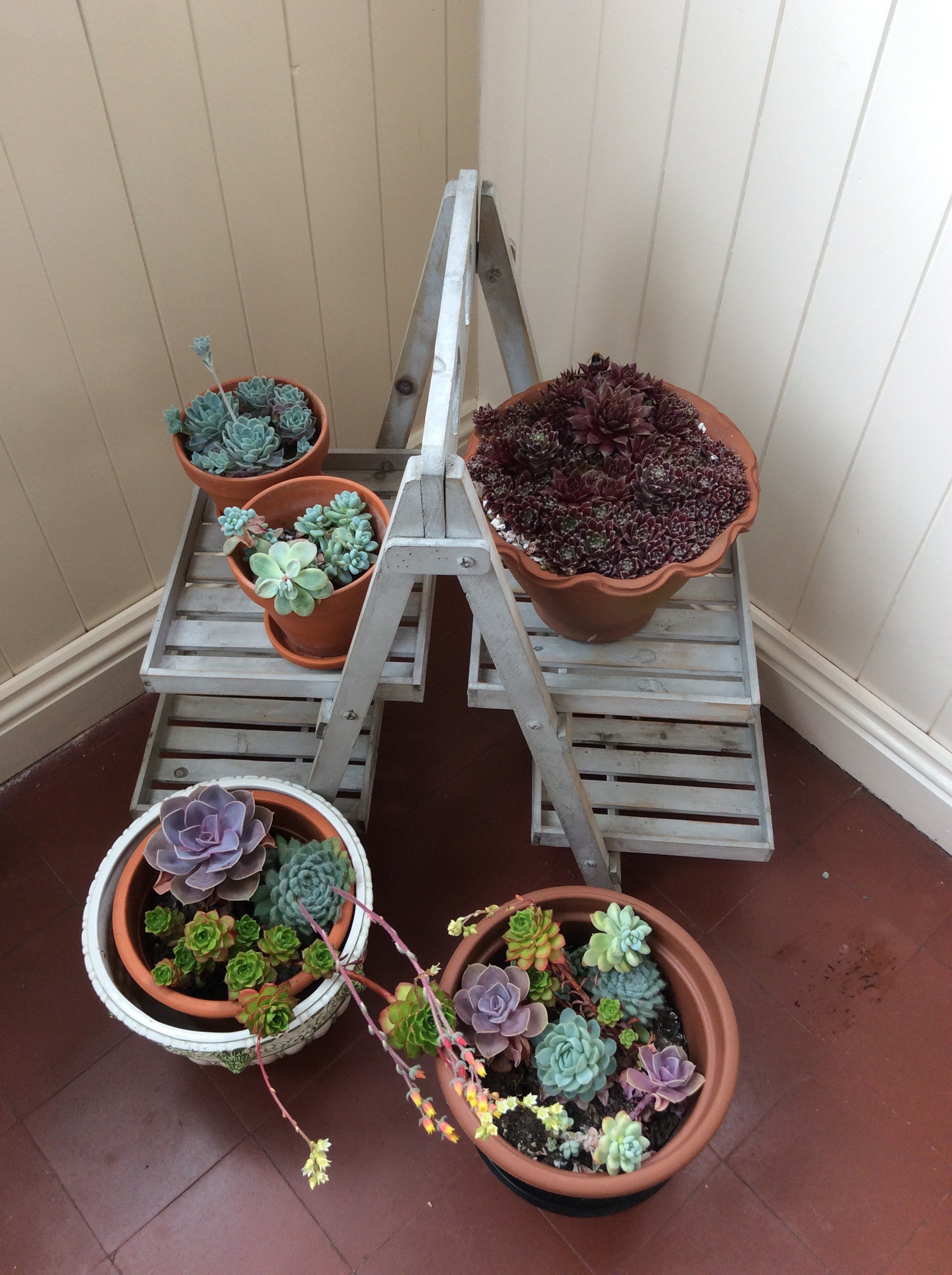 Potted plants as centerpieces.