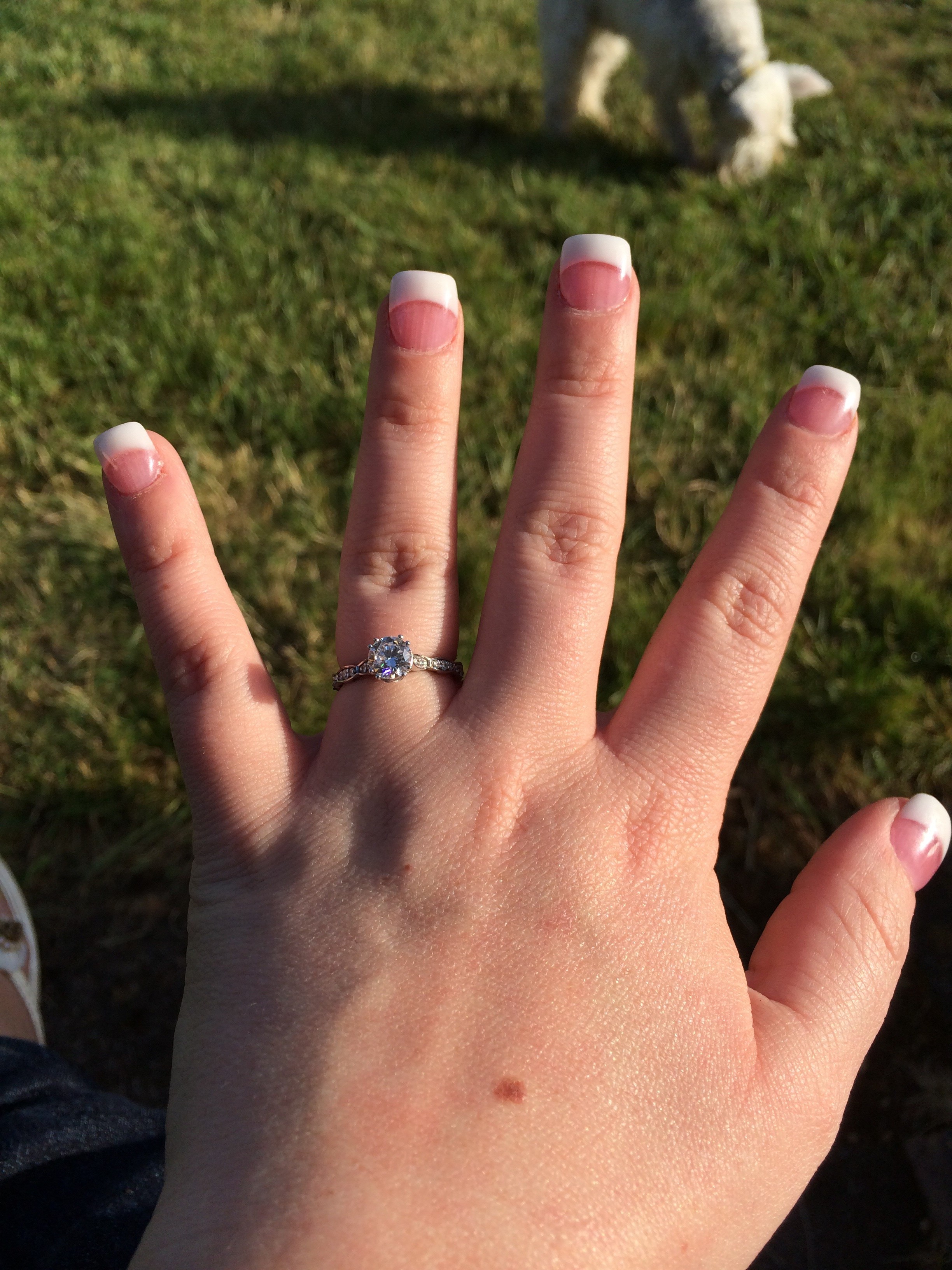 Pics of Rings on Short Fingers Please! Weddingbee