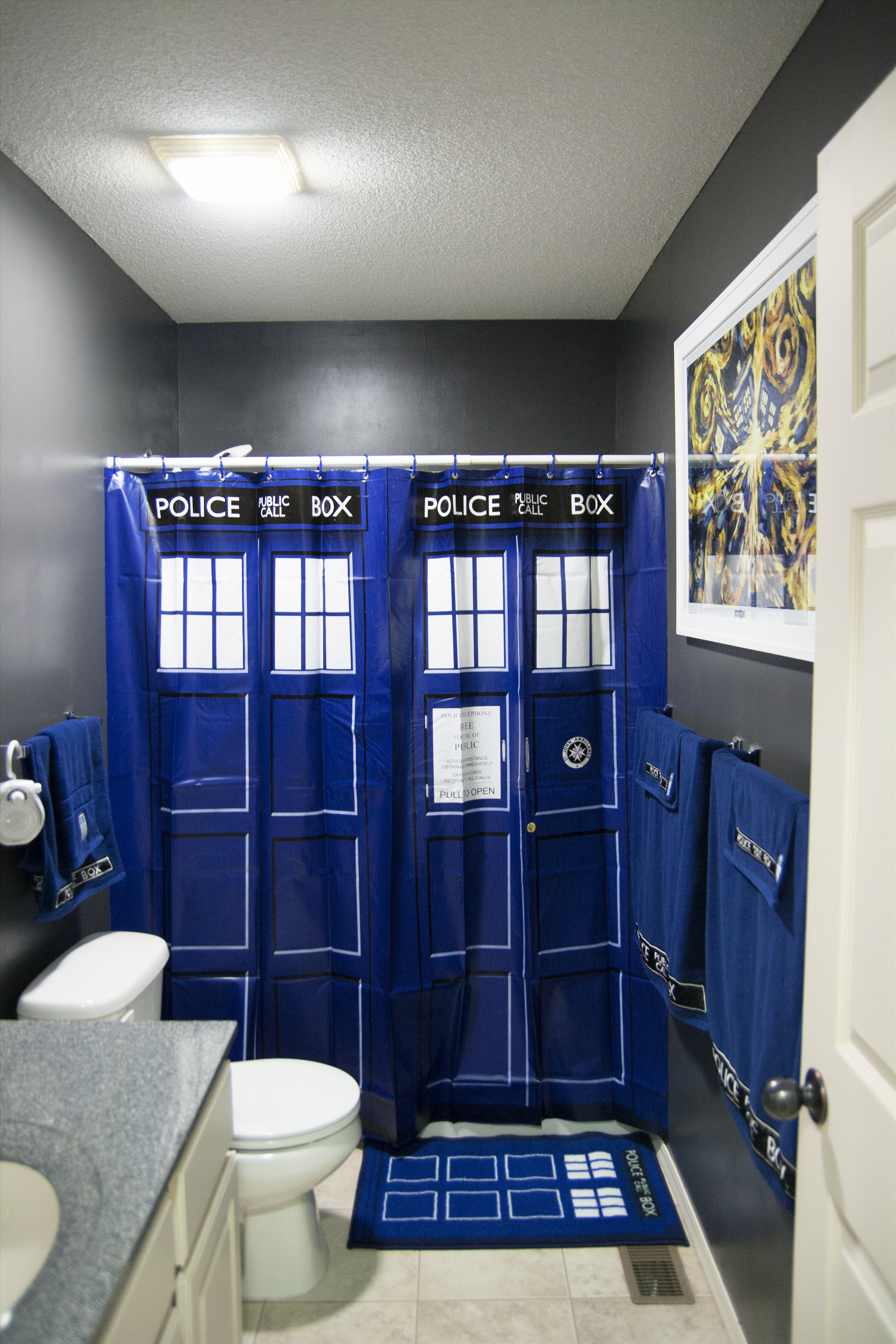 My newly decorated and very nerdy bathroom! Share your "themed" rooms!