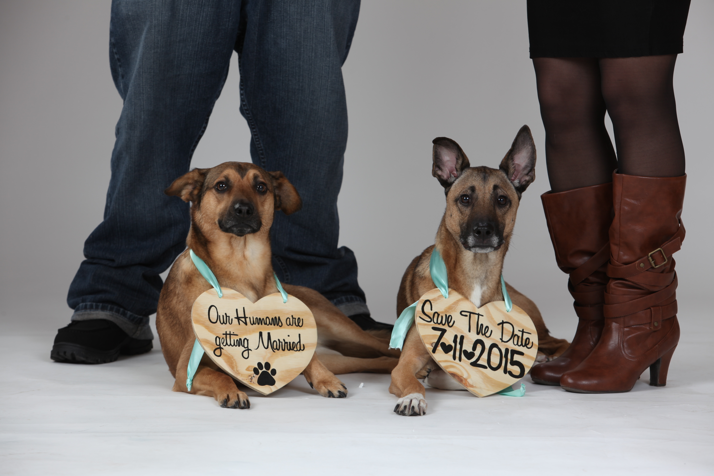 Our save the dates with my beloved dog)