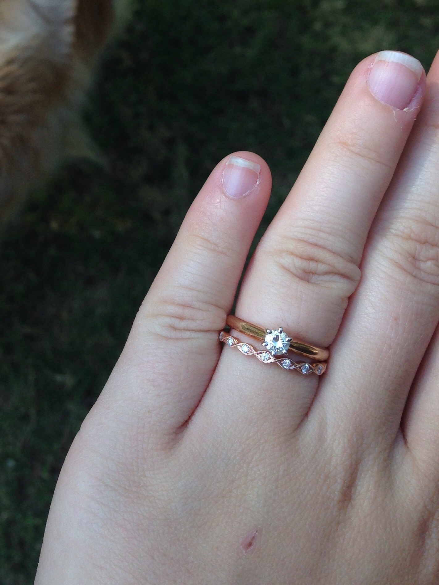 Show me your rose gold rings! Weddingbee