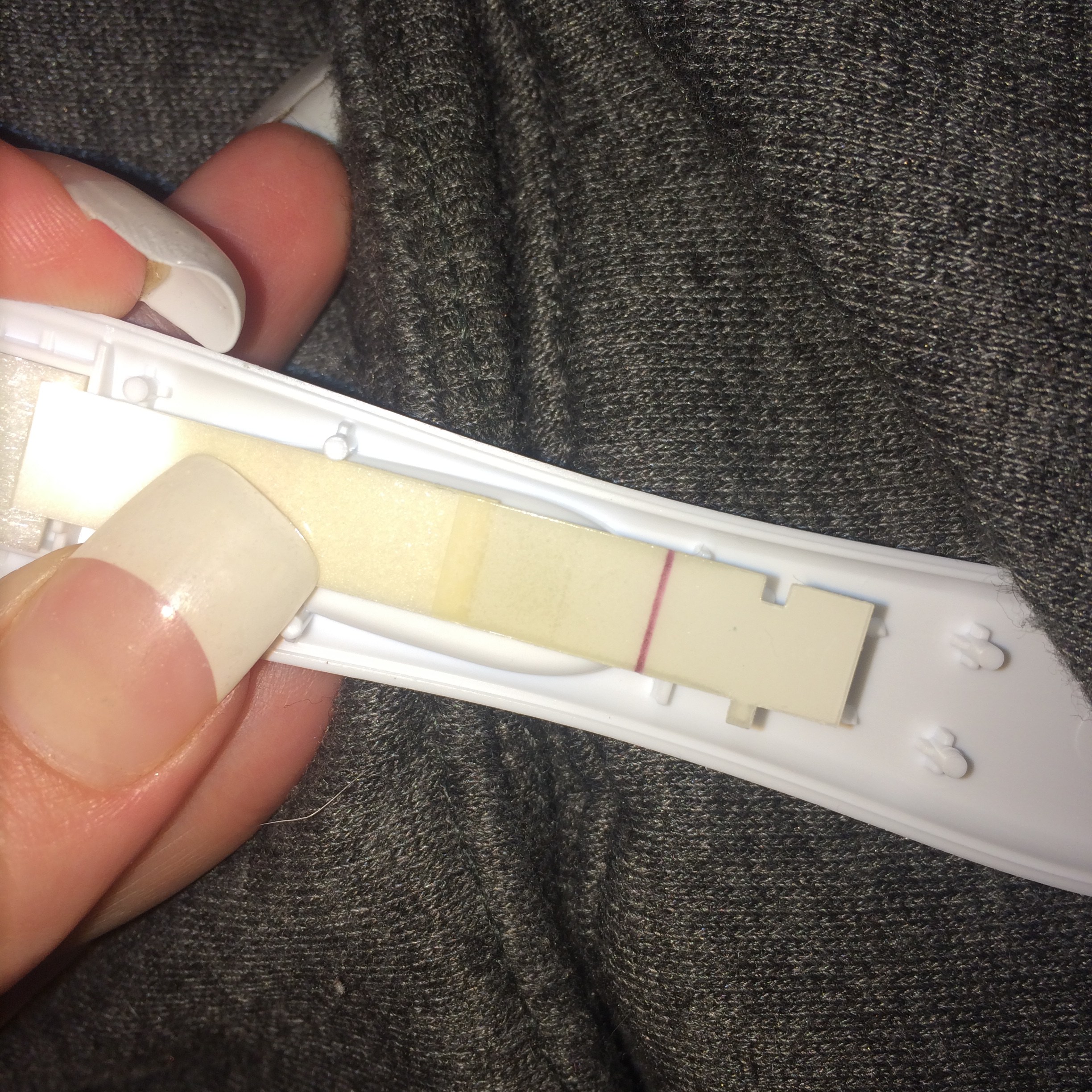 Taking Pregnancy Test Apart pregnancy test