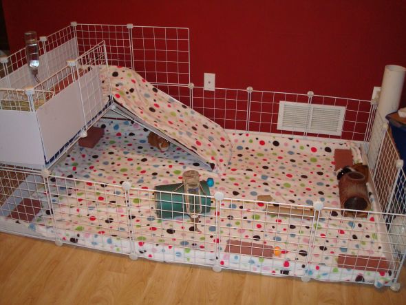 Spa Habitats Of The World Habi We Both Read Level 1 By Sindy.