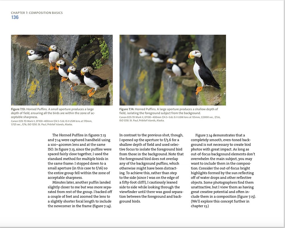 Mastering Bird Photography A Book Review by an Amateur Bird Photographer LaptrinhX / News