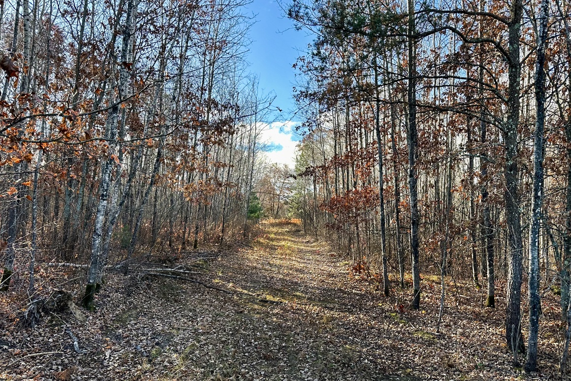 5.1 Wooded Acres For Sale in Washburn County WI! Only 52,900