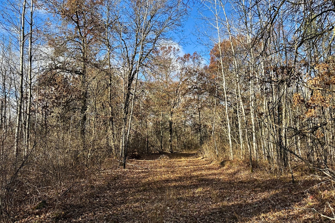 5.1 Wooded Acres For Sale in Washburn County WI! Only 52,900